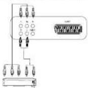 Terris LED TV 2222 - Komponenten-Eingang - 1