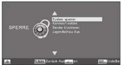 Terris LED TV 2943 - SPERREN - 1