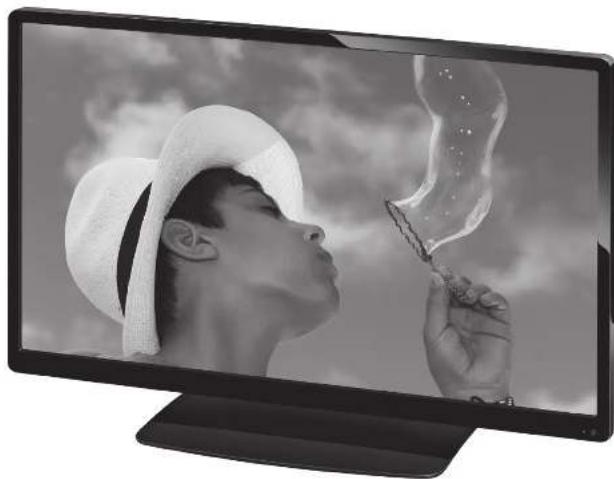 Terris LED TV 2943 - LED TV mit DVD-Player - 1