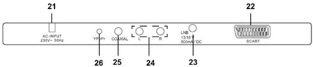 Terris LED TV 2943 - COMMON - 1