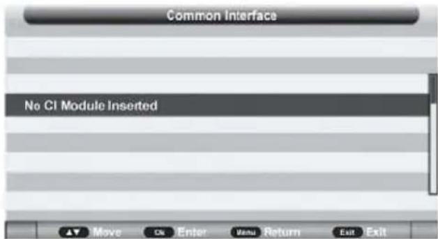 Jay-Tech LED TV JTC 19TT - CI Info (CI-Informationen) - 1