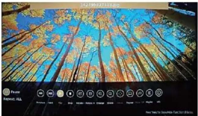 Jay-Tech 5055TT - FOTO - 1