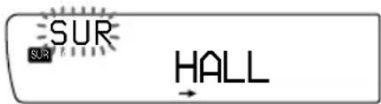 SUR SUR HALL