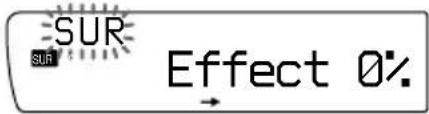 SUR SUR Effect 0%