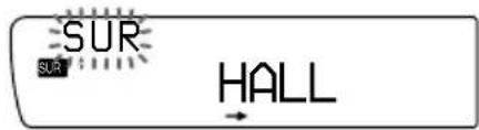 SUR SUR HALL