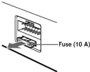 Fuse (10 A)