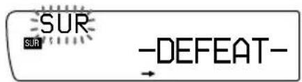 SUR SUR -DEFEAT-