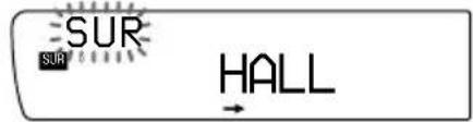 SUR SUR HALL