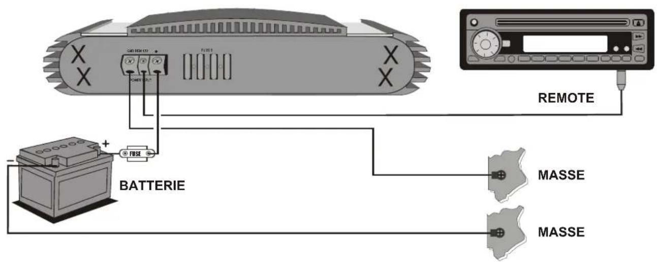 Crunch MXB 1000 - Elektrische Anschlüsse - 1