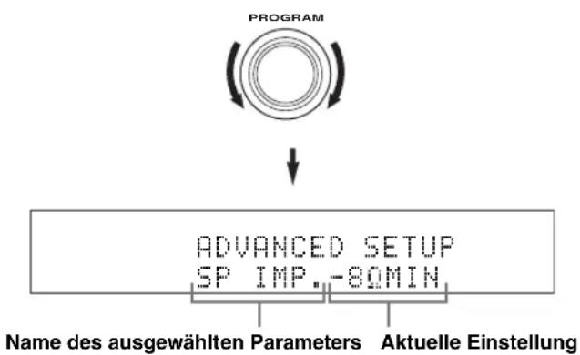 YAMAHA RX-V2600 - Verwendung von ADVANCED SETUP - 3