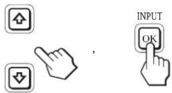 INPUT OK