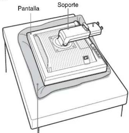 Pantalla Soporte