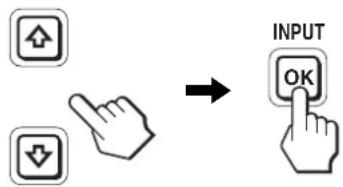 INPUT OK