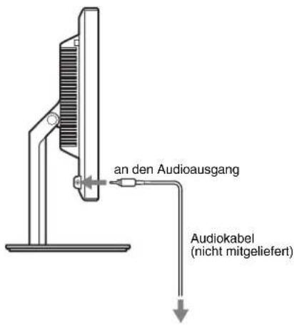 an den Audioausgang Audiokabel (nicht mitgeliefert)
