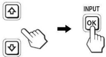 INPUT OK
