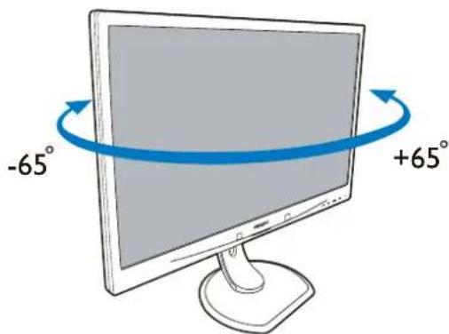 PHILIPS Brilliance 240P4 - Physische Funktionen - 2