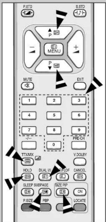SAMSUNG SyncMaster 241MP - Seite über Seitennummer anwählen - 1