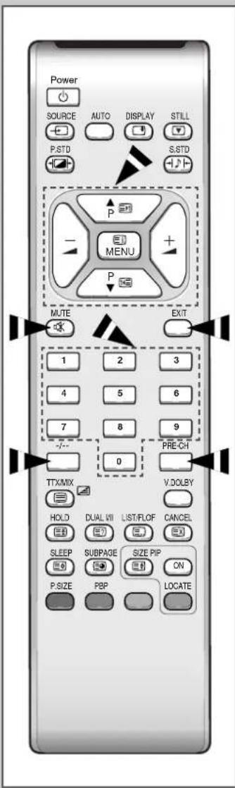SAMSUNG SyncMaster 241MP - Fernbedienung einsetzen - 1
