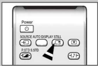 SAMSUNG SyncMaster 241MP - Informationen anzeigen - 1