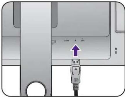 BENQ SW2401PT - Connect the headphones. - 1