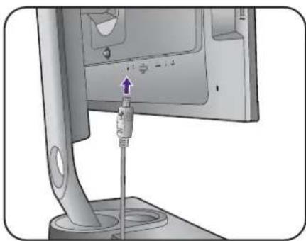 BENQ SW2401PT - Connect the headphones. - 2