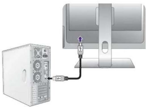 BENQ PV3200PT - Connect USB devices. - 3