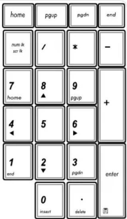 ASUS Pro Essential P55 - Numerische Tastatur (nur bei bestimmten Modellen) - 1