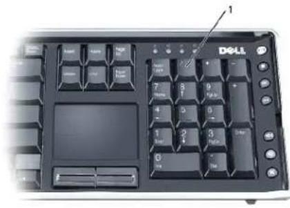 DELL XPS M2010 - Nummerischer Tastenblock - 1