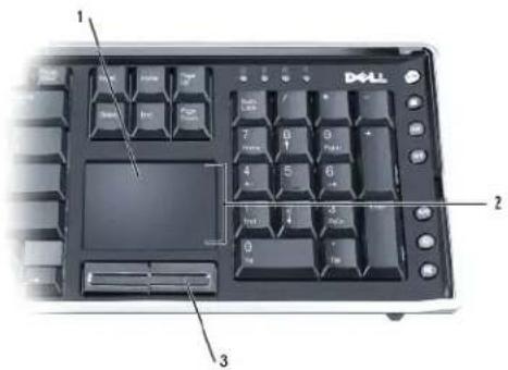 DELL XPS M2010 - Touchpad - 1
