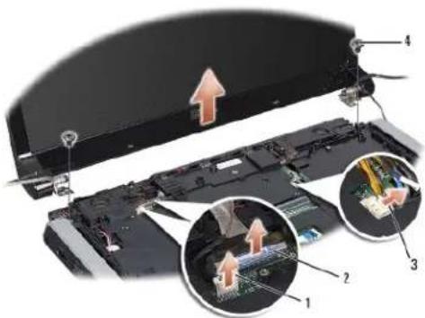 DELL Studio 1557 - Removing the Display Assembly - 3