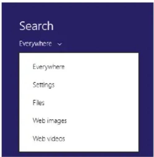 LENOVO IdeaPad P585 - Search charm - 1