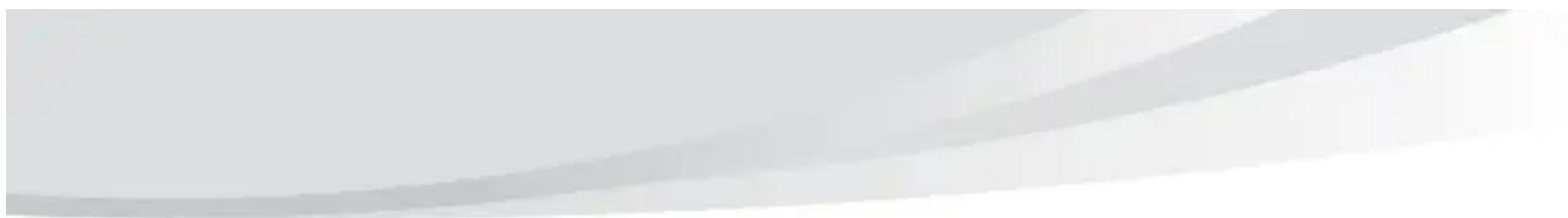 LENOVO IdeaPad S10-3C - A portion of the hard disk space is used for specific purposes - 1