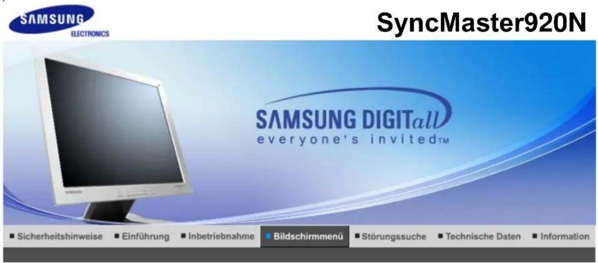 SAMSUNG SyncMaster 920T - Anz. dauer - 6