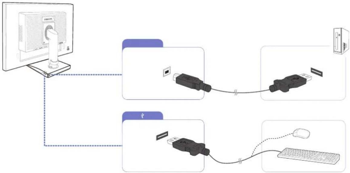 SAMSUNG SyncMaster S19E200BR - Anschließen mit USB (Modelle S\*\*E450D\*) - 2
