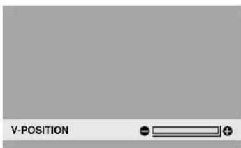 V-POSITION