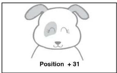 Position + 31