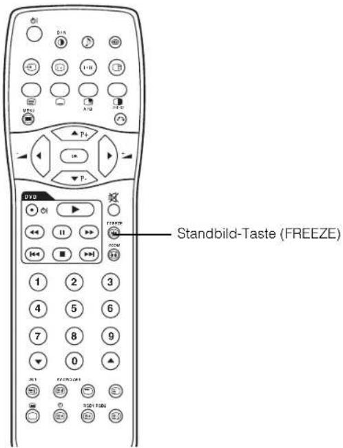 Standbild-Taste (FREEZE)