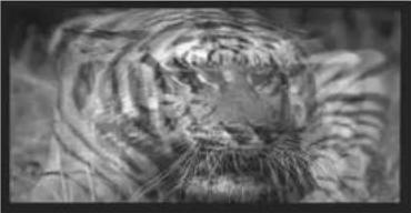 HITACHI 42PMA500 - WARNING - 2