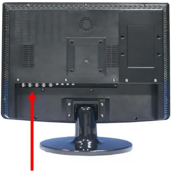 SKYTRONIC 351.142 - Rear Panel - 1