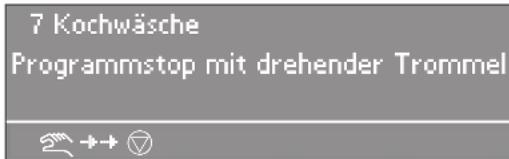 MIELE PW 6163 - Programmabbruch - 2
