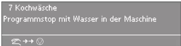 MIELE PW 6163 - Programmabbruch - 1