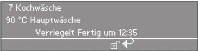 MIELE PW 6163 - Programmabbruch verriegelter Programme - 1