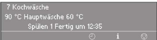 MIELE PW 6163 - Programmabbruch verriegelter Programme - 3