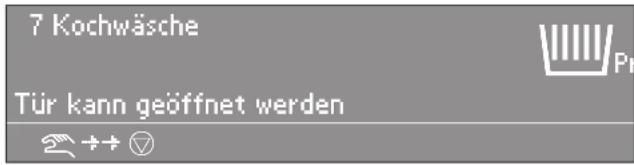 MIELE PW 6163 - Einfüllen über die Einspülschale - 1