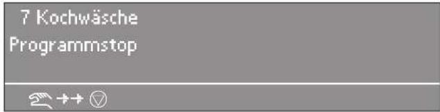 MIELE PW 6163 - Programm raffen - 1