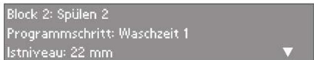 MIELE PW 6163 - Maximale Schleuderdrehzahlen - 7