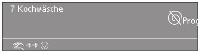 MIELE PW 6163 - Ohne Schleudern - 1