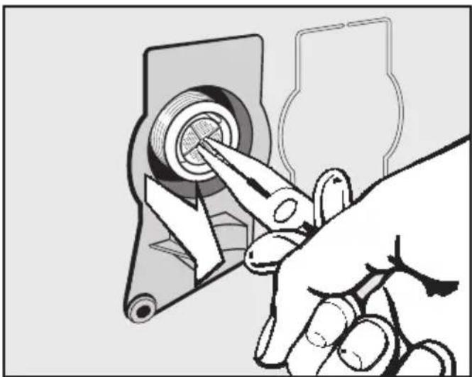 MIELE WDB030 WCS Eco W1 - Sieb im Einlaufstutzen des Wasse-reinlaufventils reinigen - 1