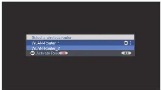 LOEWE Network Mediaplayer 1000 - Select wireless router - 1