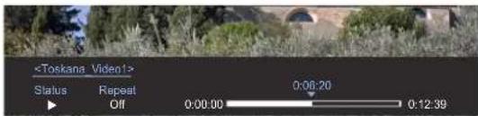 LOEWE Network Mediaplayer 1000 - Play back video files - 5